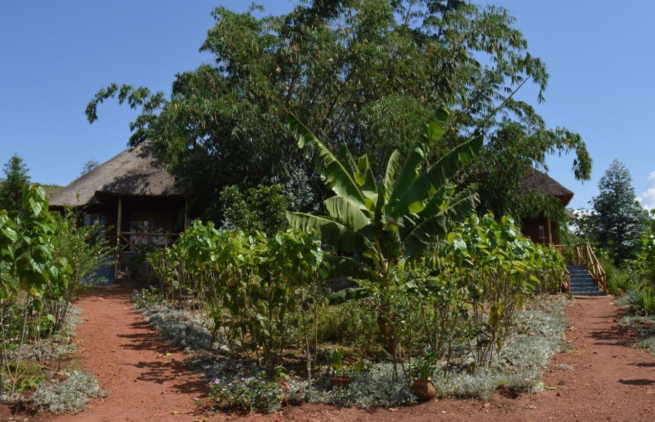 Rutete Eco Lodge Rwinkwavu Exterior photo