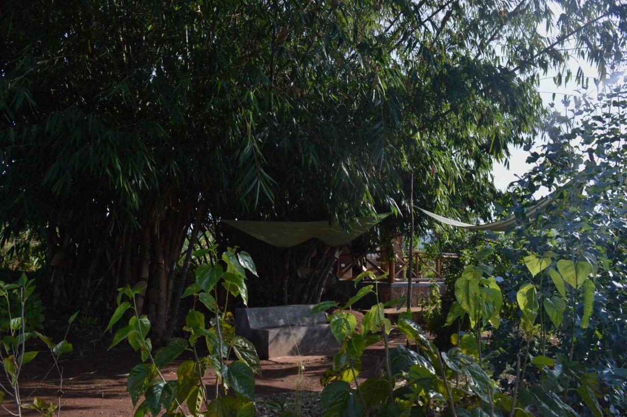 Rutete Eco Lodge Rwinkwavu Exterior photo